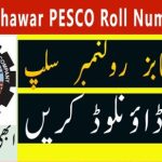 UET Peshawar PESCO Roll No Slip 2023