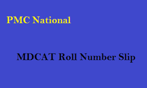 PMC Roll No Slip 2022 MDCAT Admit Card