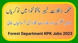 Forest Department KPK Jobs 2024