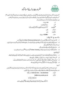 School Education and Literacy Department Jobs