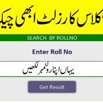 10th Class Result 2023 Punjab Board By Roll Number
