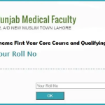 Punjab Medical Faculty PMF Result 2023 Check Online Announced Today