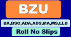 BZU Multan Roll No Slip 2023