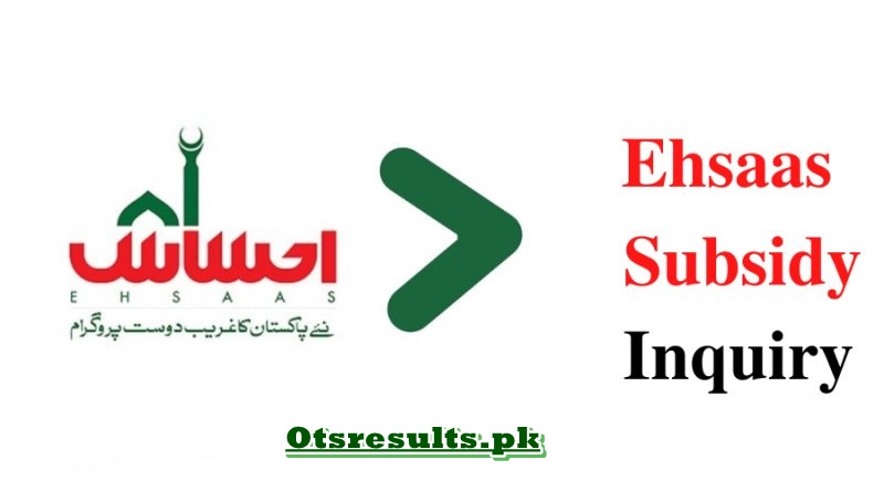 Ehsaas Subsidy Inquiry Portal 2024 Online Check