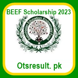 BEEF Scholarship 2023