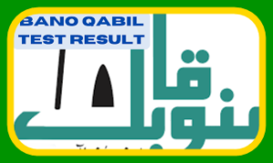 Bano Qabil Result 2023