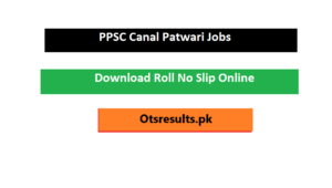 Canal Patwari PPSC Roll No Slip