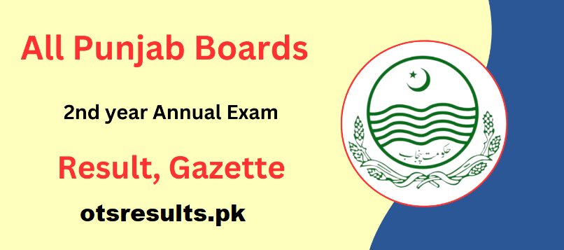 All Punjab Board 2nd Year Gazette Result 2023 
