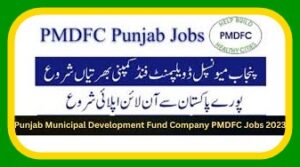 PMDFC Jobs 2024