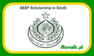 Sindh Education Endowment Fund Scholarship 2024