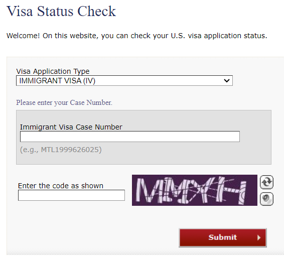How to check the status of US visa